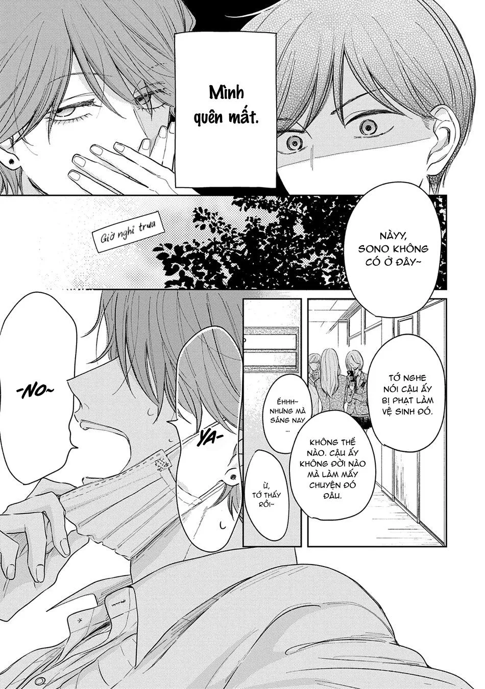 Pittosporum Chapter 2 Trang 7