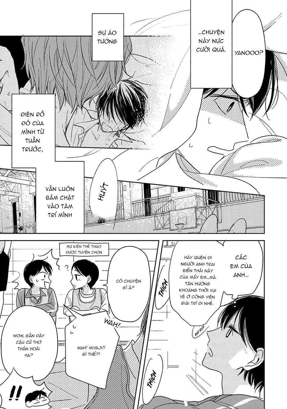 Pittosporum Chapter 3 Trang 4