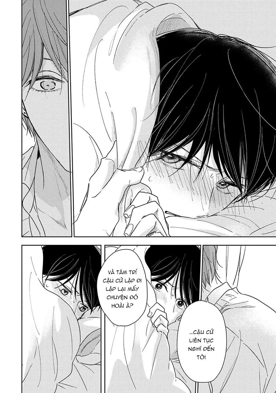 Pittosporum Chapter 3 Trang 15