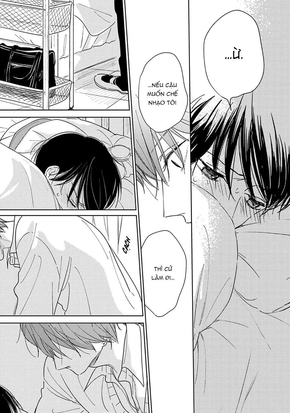 Pittosporum Chapter 3 Trang 16