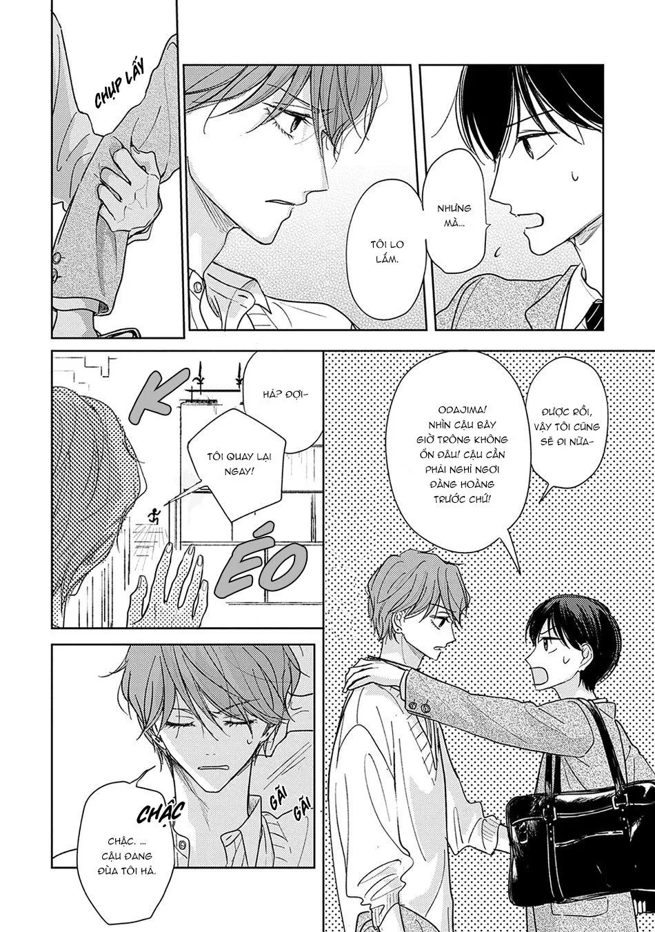 Pittosporum Chapter 3 Trang 21