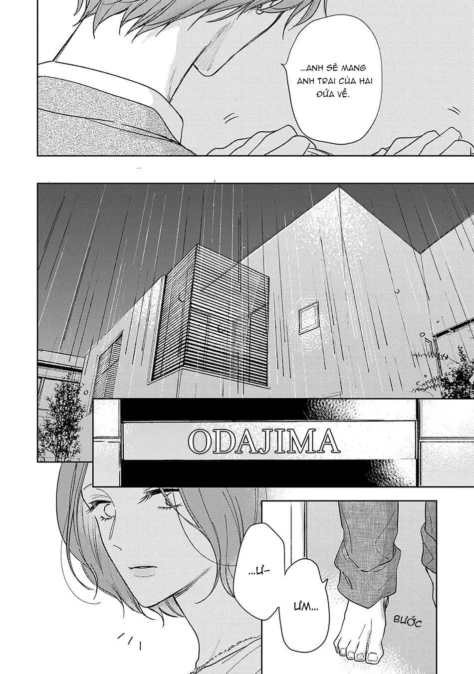 Pittosporum Chapter 3 Trang 35