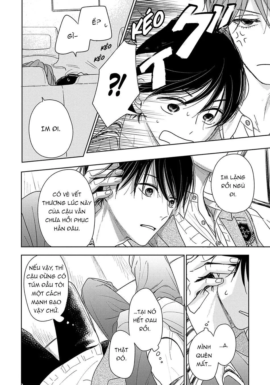 Pittosporum Chapter 3 Trang 45