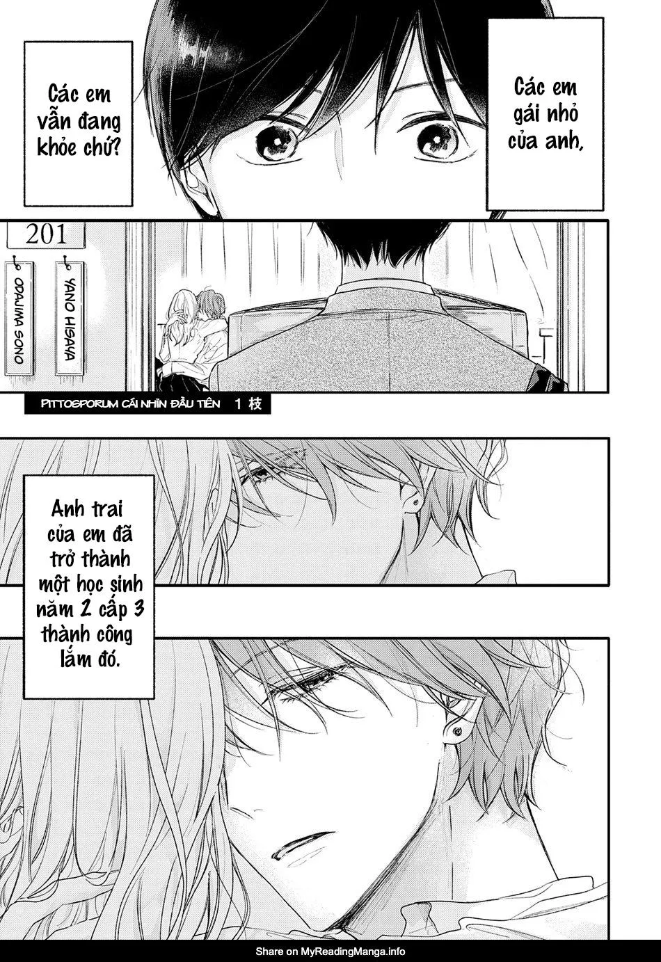 Pittosporum Chapter 1 Trang 4