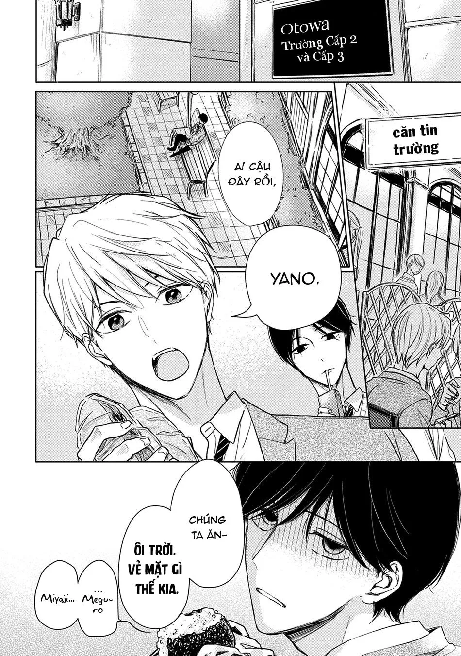 Pittosporum Chapter 1 Trang 7