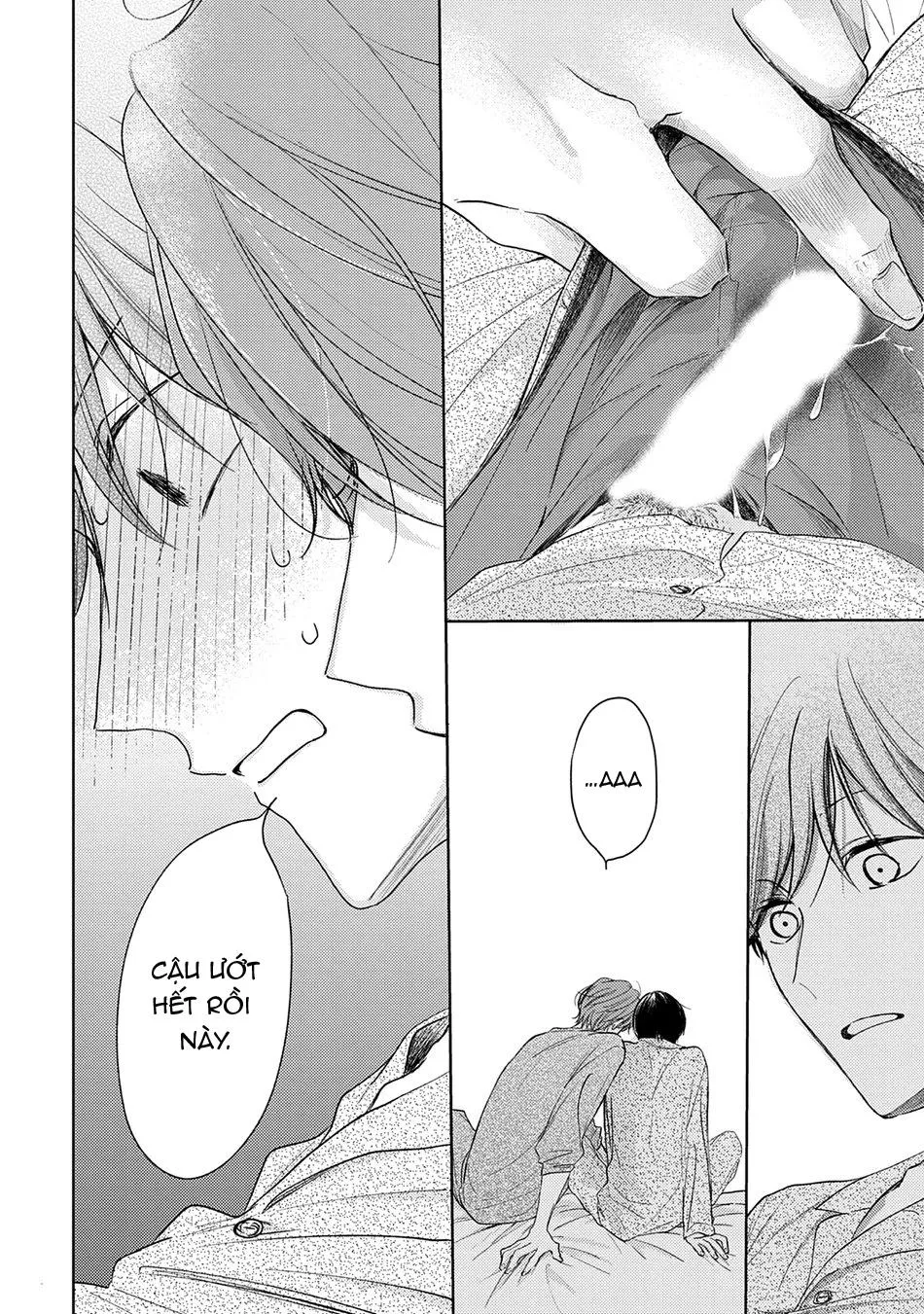 Pittosporum Chapter 1 Trang 31