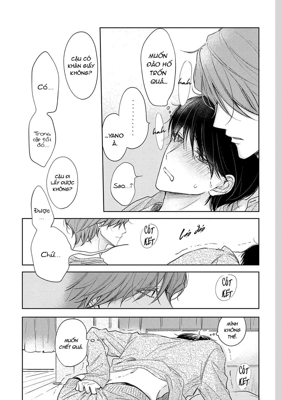 Pittosporum Chapter 1 Trang 35