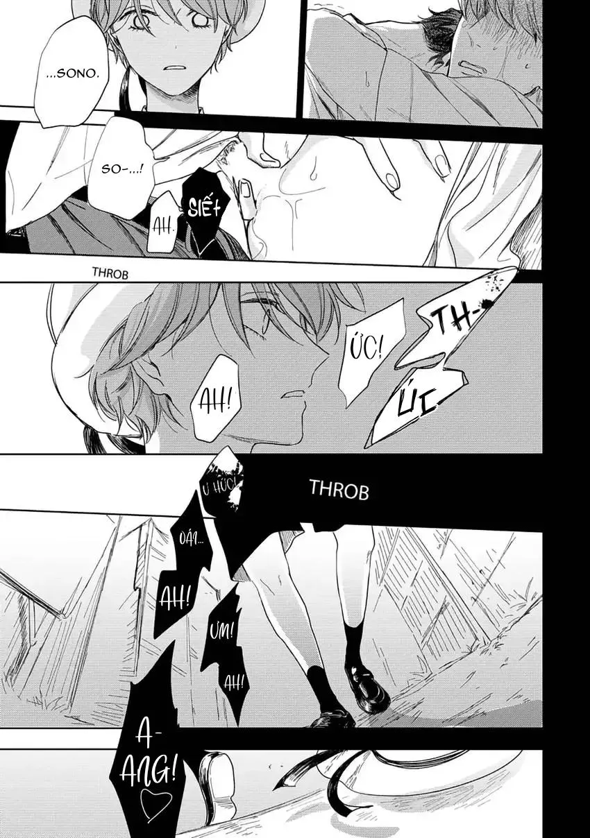 Pittosporum-Shino Makami Chapter 5 Trang 17