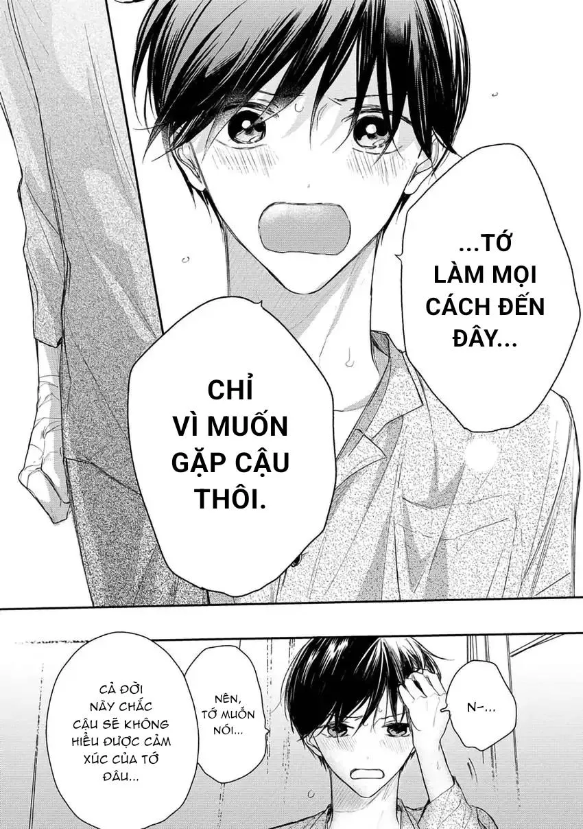 Pittosporum-Shino Makami Chapter 11 Trang 11