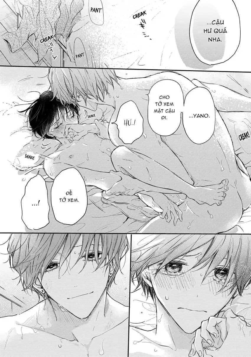 Pittosporum-Shino Makami Chapter 13 Trang 17