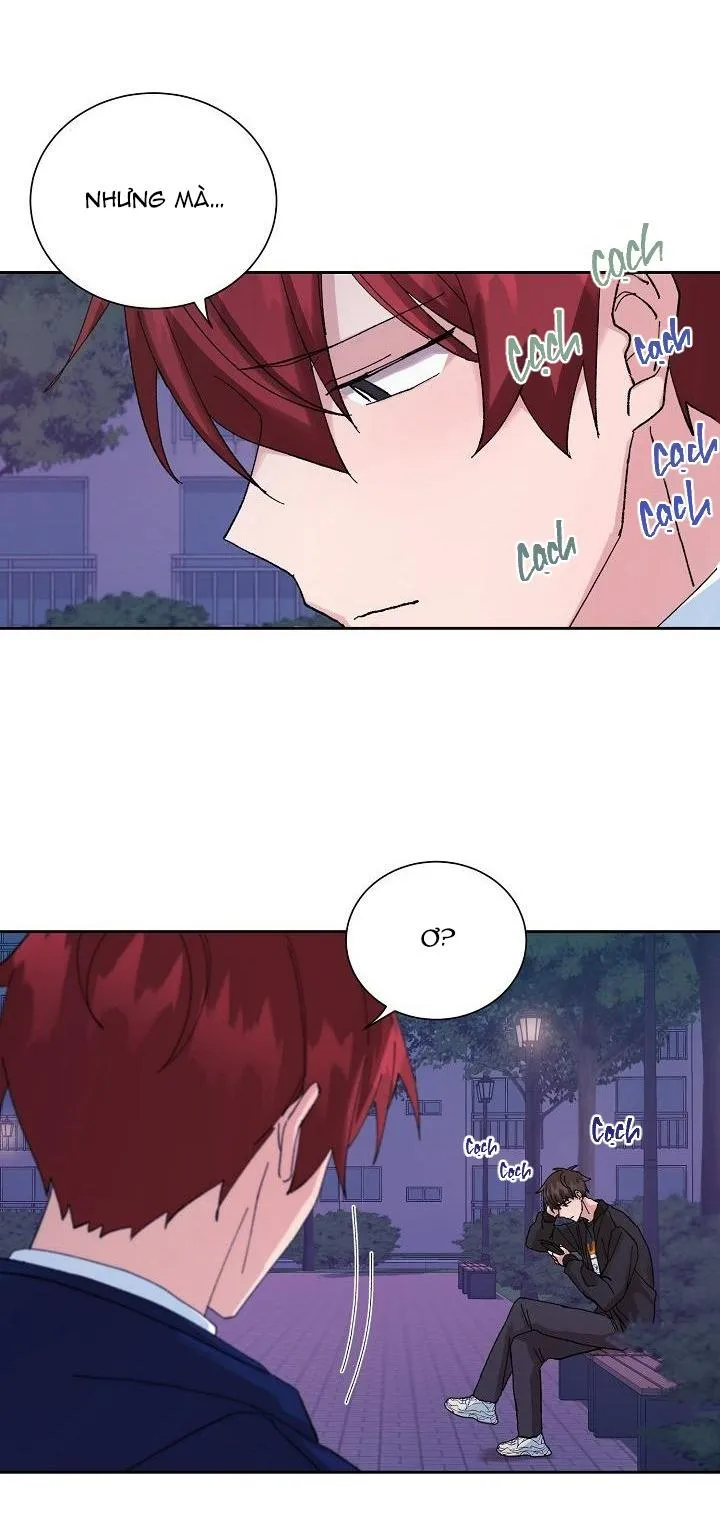 PLACEBO CRUSH Chapter 14 Trang 19