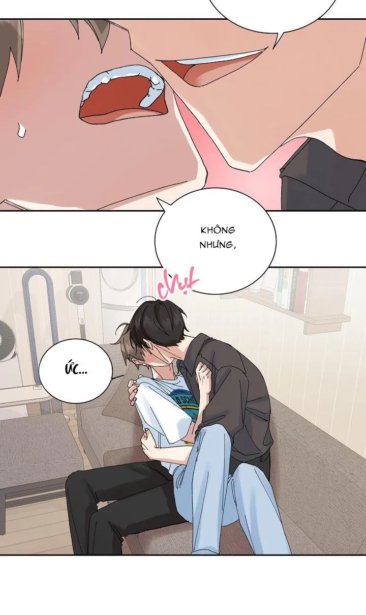 PLACEBO CRUSH Chapter 16 Trang 41