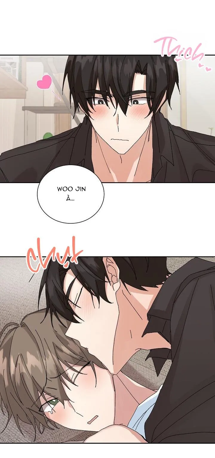 PLACEBO CRUSH Chapter 17 Trang 53