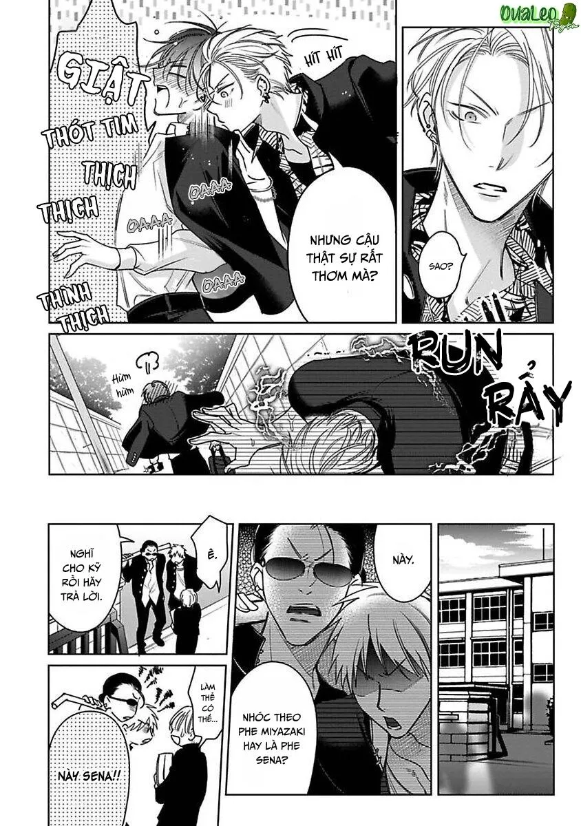 Playboy Huyền Thoại VS Hoa Cúc Thép Chapter 3 Trang 11