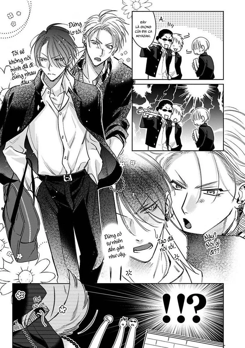 Playboy Huyền Thoại VS Hoa Cúc Thép Chapter 3 Trang 12