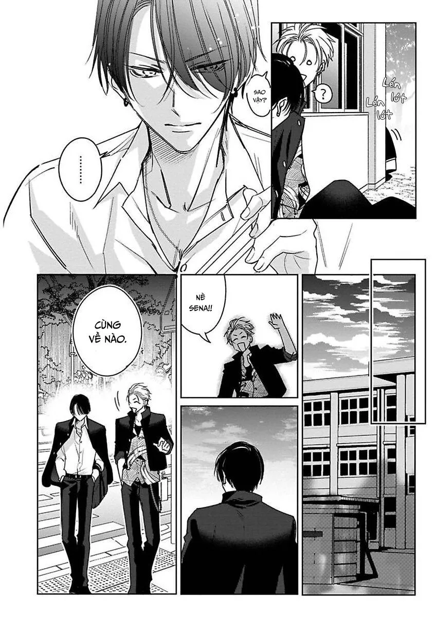 Playboy Huyền Thoại VS Hoa Cúc Thép Chapter 3 Trang 15