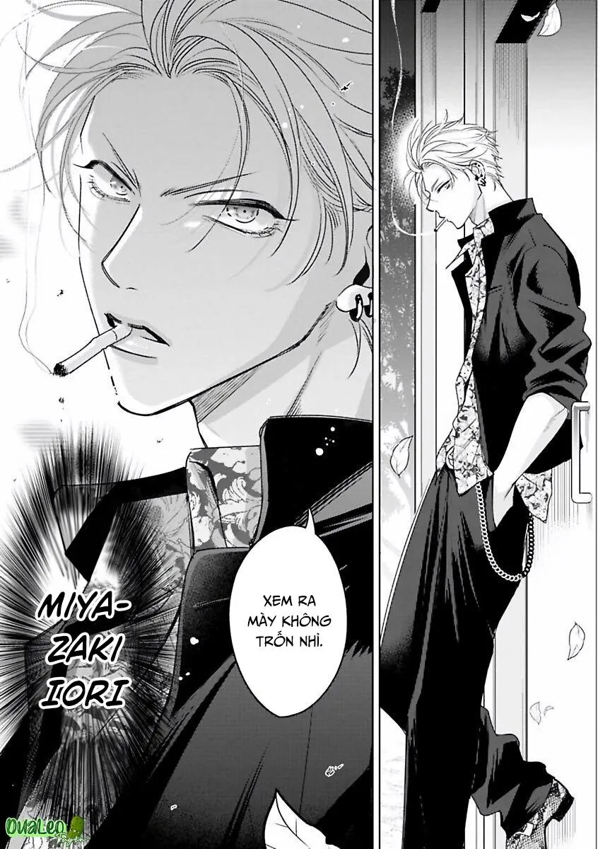 Playboy Huyền Thoại VS Hoa Cúc Thép Chapter 1 Trang 7