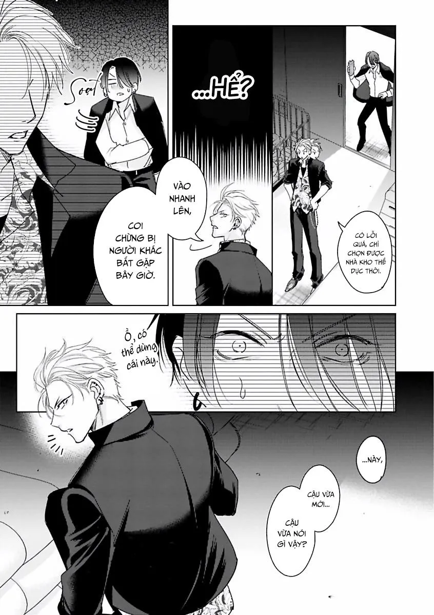 Playboy Huyền Thoại VS Hoa Cúc Thép Chapter 1 Trang 10