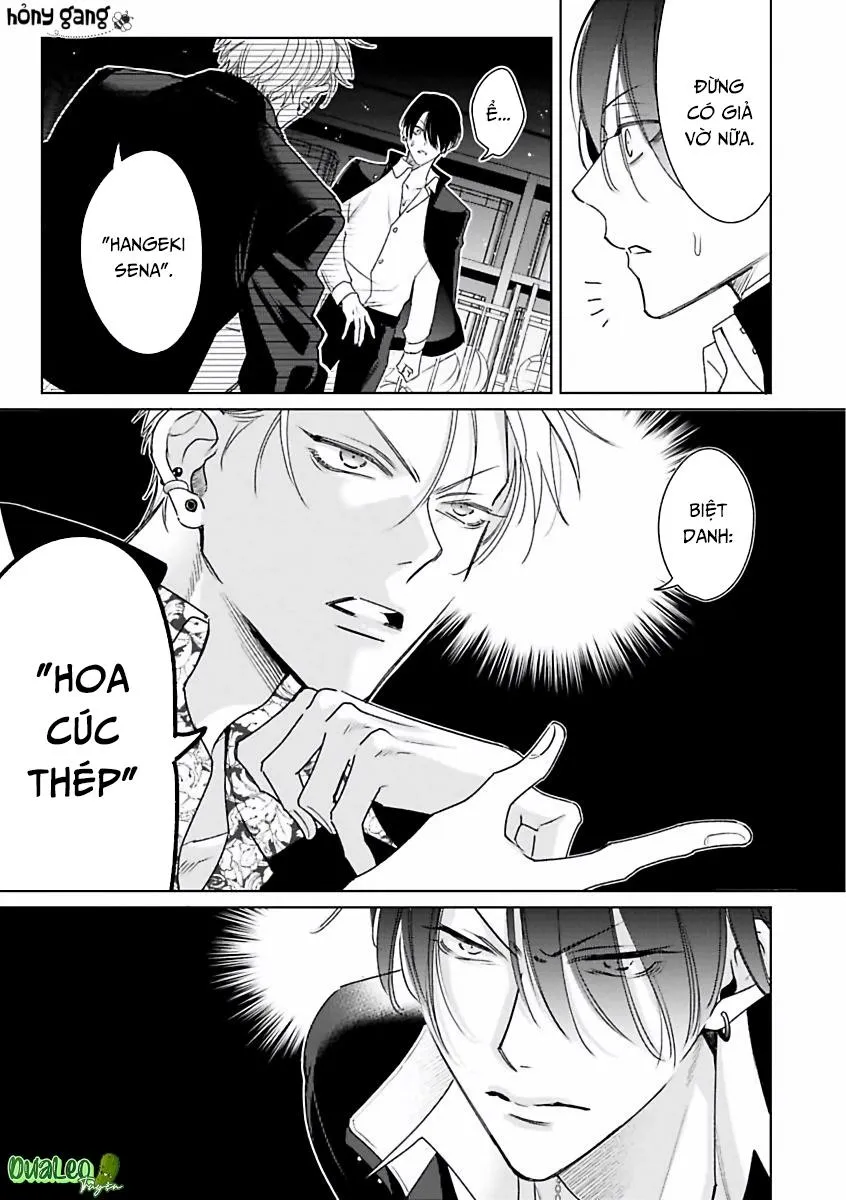 Playboy Huyền Thoại VS Hoa Cúc Thép Chapter 1 Trang 12