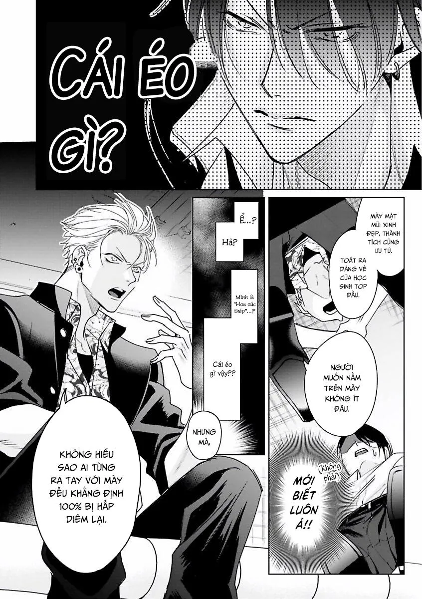 Playboy Huyền Thoại VS Hoa Cúc Thép Chapter 1 Trang 13