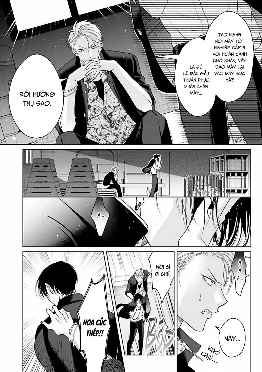 Playboy Huyền Thoại VS Hoa Cúc Thép Chapter 1 Trang 15