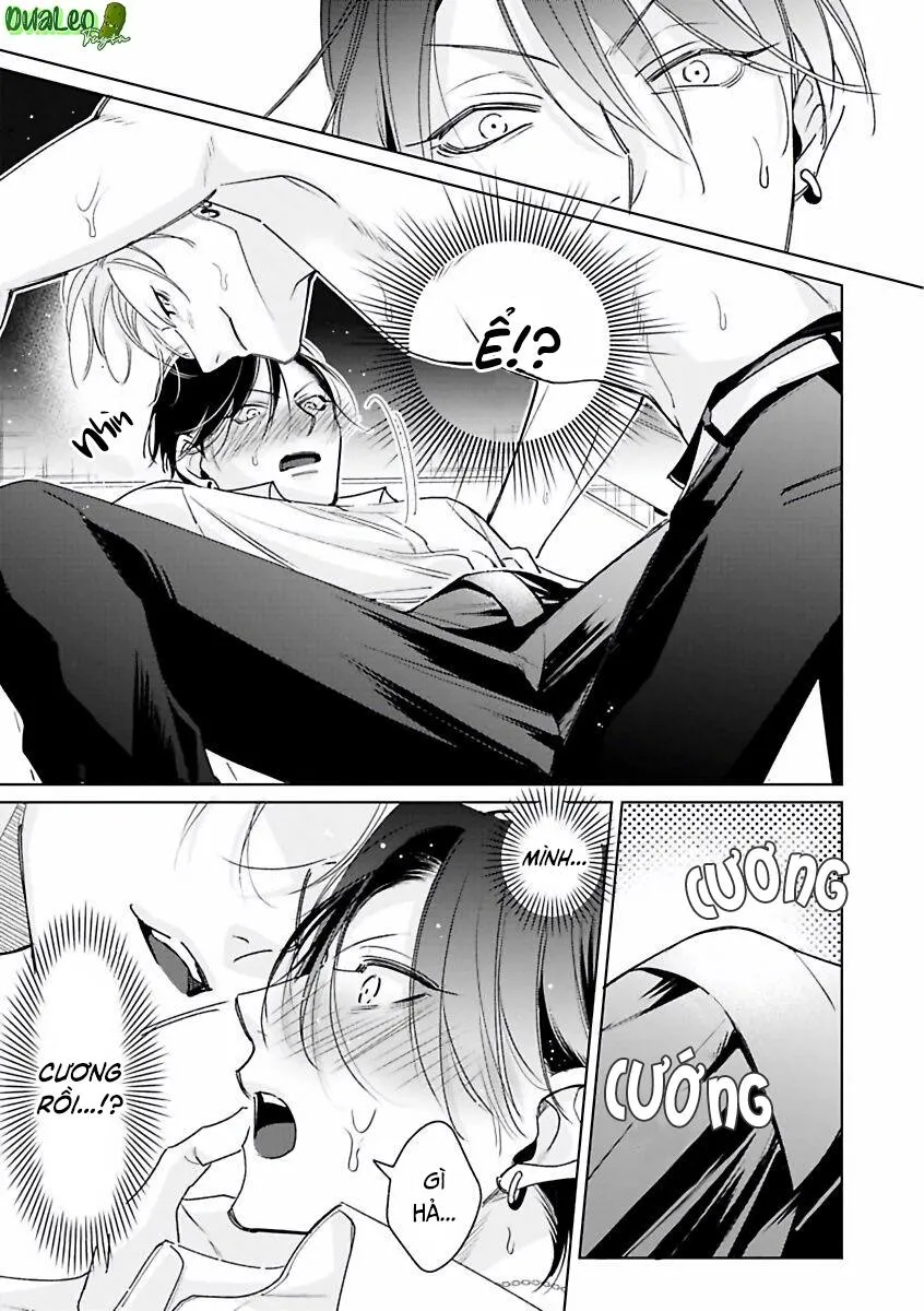 Playboy Huyền Thoại VS Hoa Cúc Thép Chapter 1 Trang 27