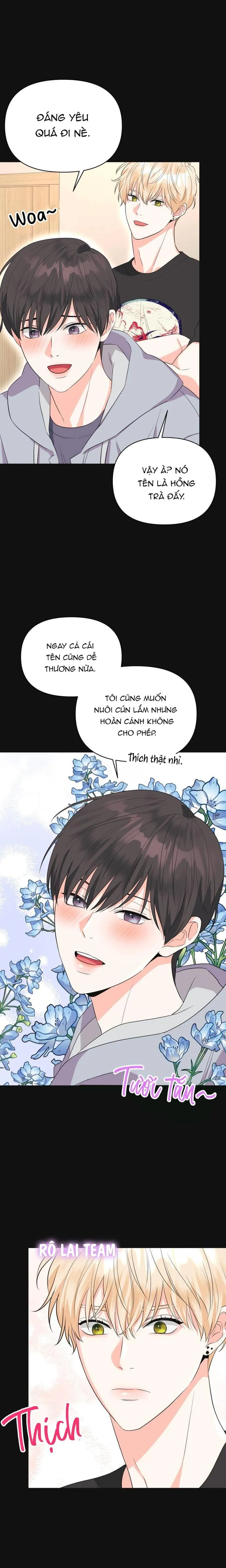 DROP Playlist tua ngược Chapter 3 Trang 12