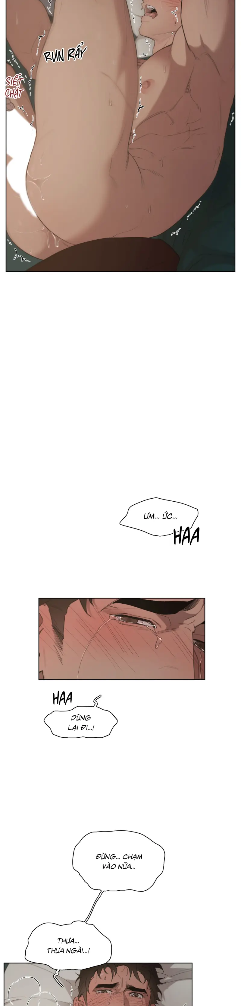 Plaything - Món đồ chơi của đại công tước Chapter 13 Trang 20