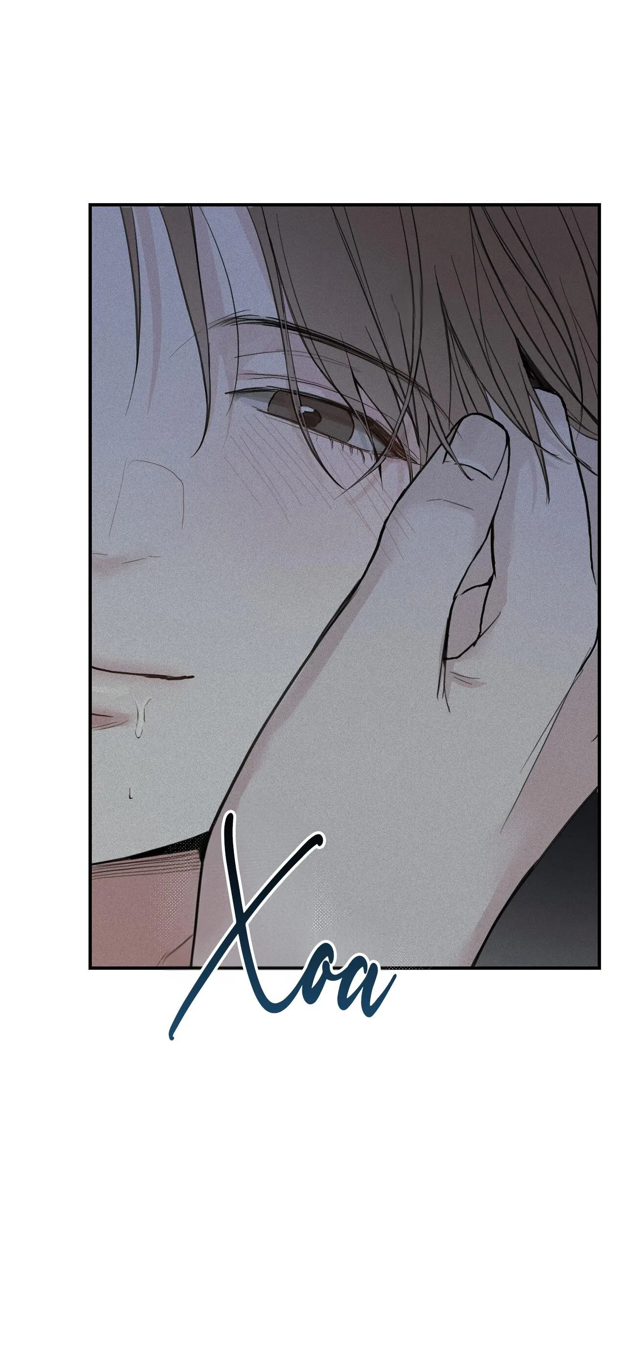 PROJECTION Chapter 1 Trang 12