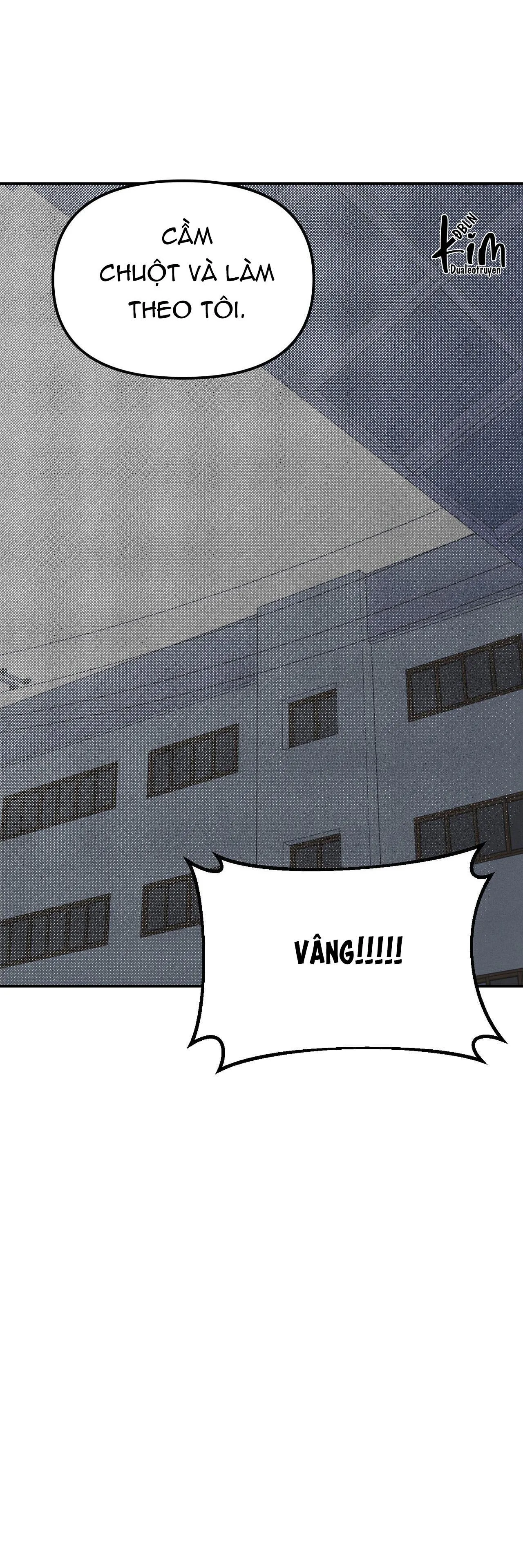 PROJECTION Chapter 2 Trang 47