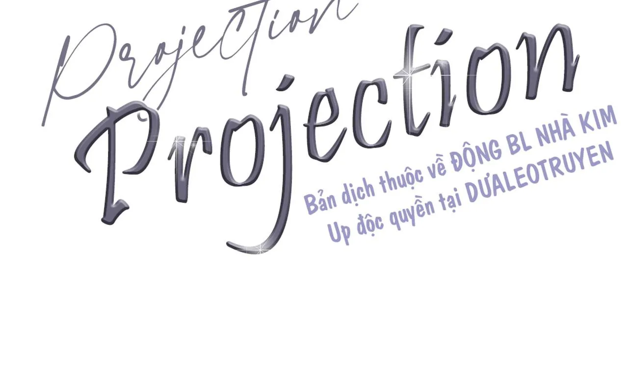 PROJECTION Chapter 6 Trang 104