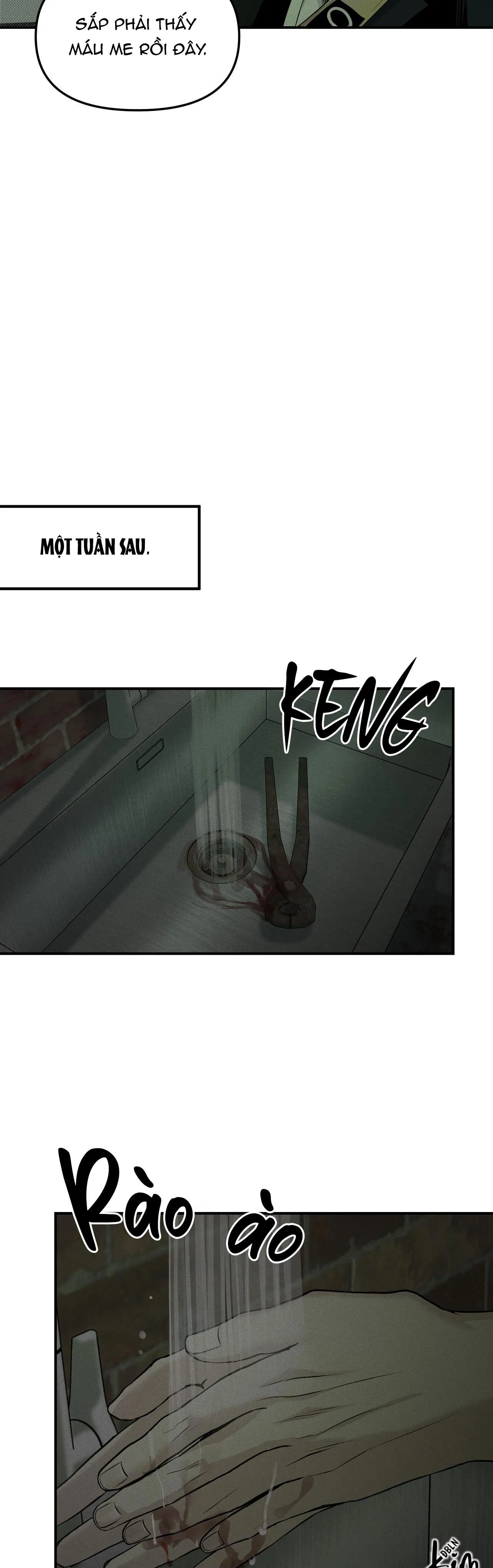 PROJECTION Chapter 10 Trang 20