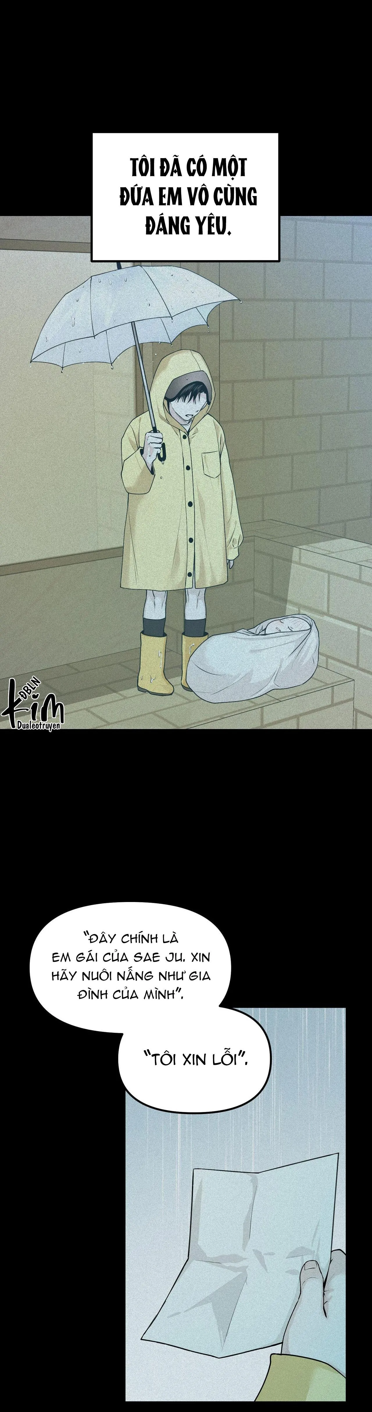 PROJECTION Chapter 13 Trang 4