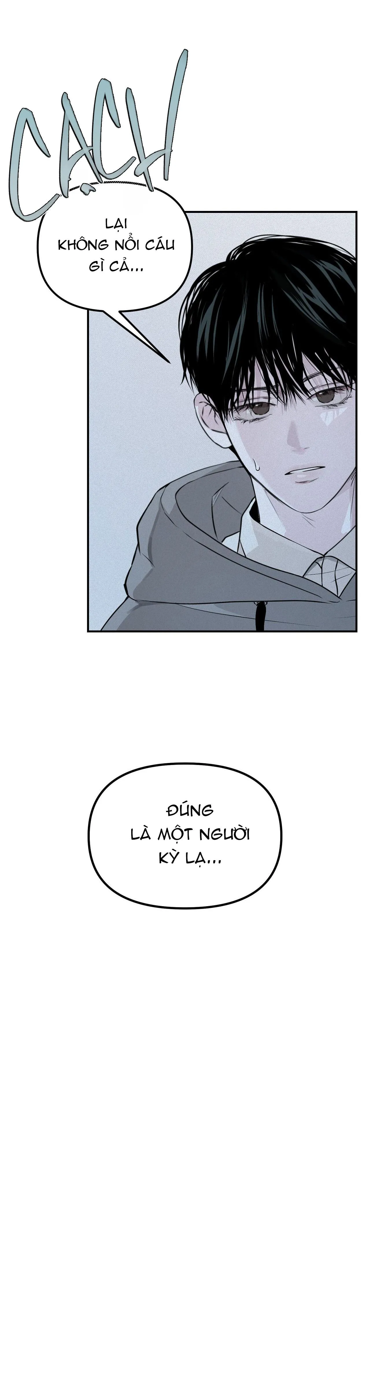 PROJECTION Chapter 15 Trang 7