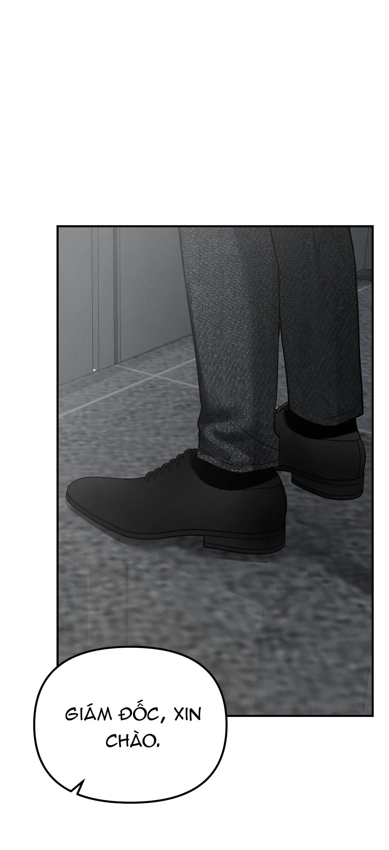 PROJECTION Chapter 16 Trang 29