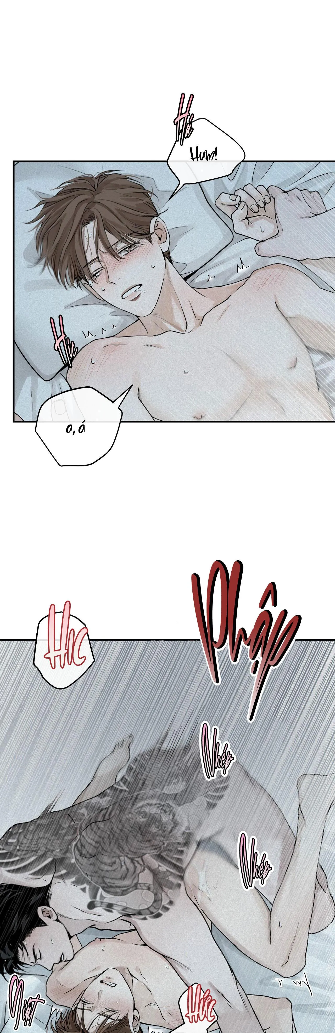 PROJECTION Chapter 19 Trang 3