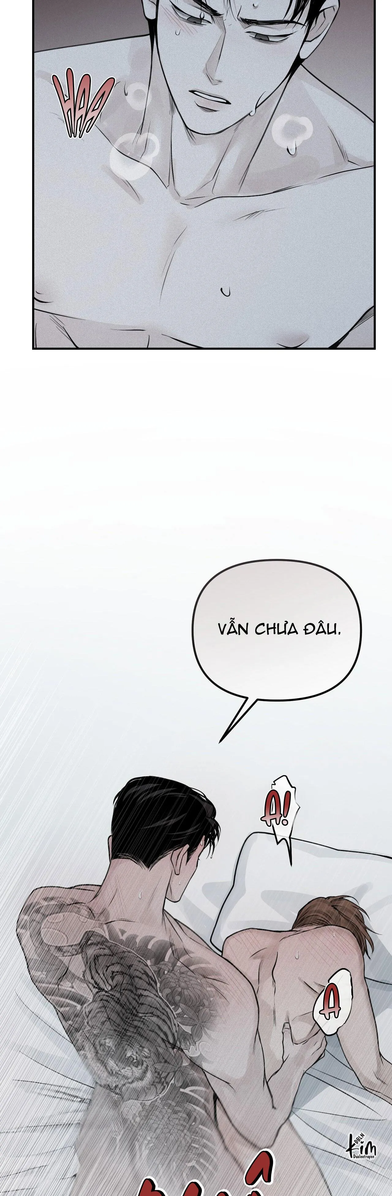 PROJECTION Chapter 19 Trang 12