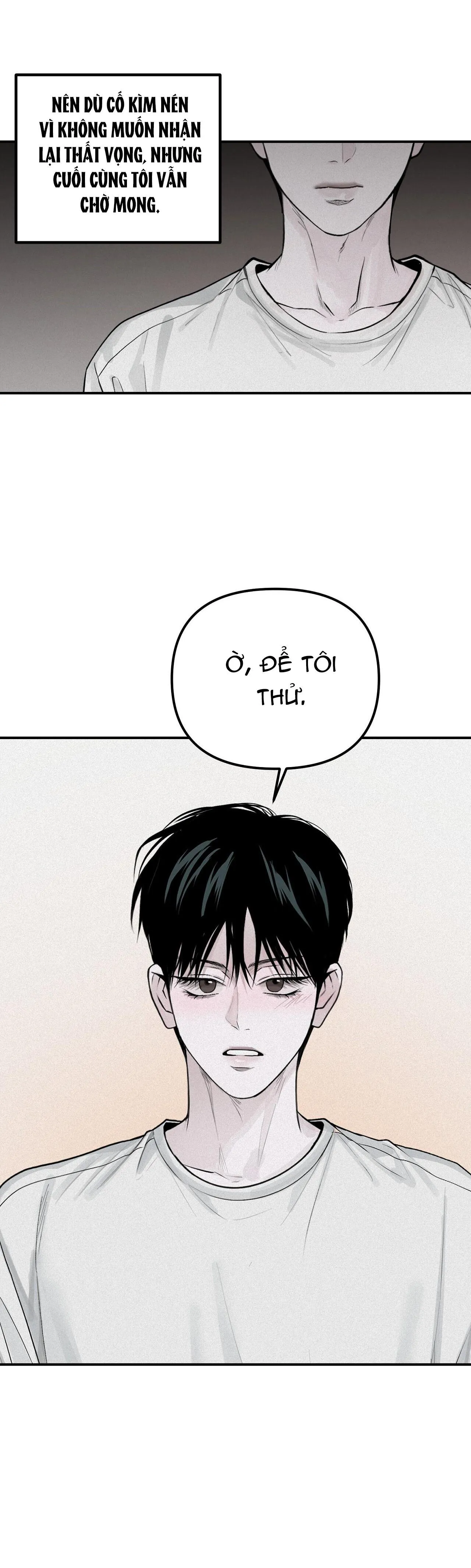 PROJECTION Chapter 21 Trang 15