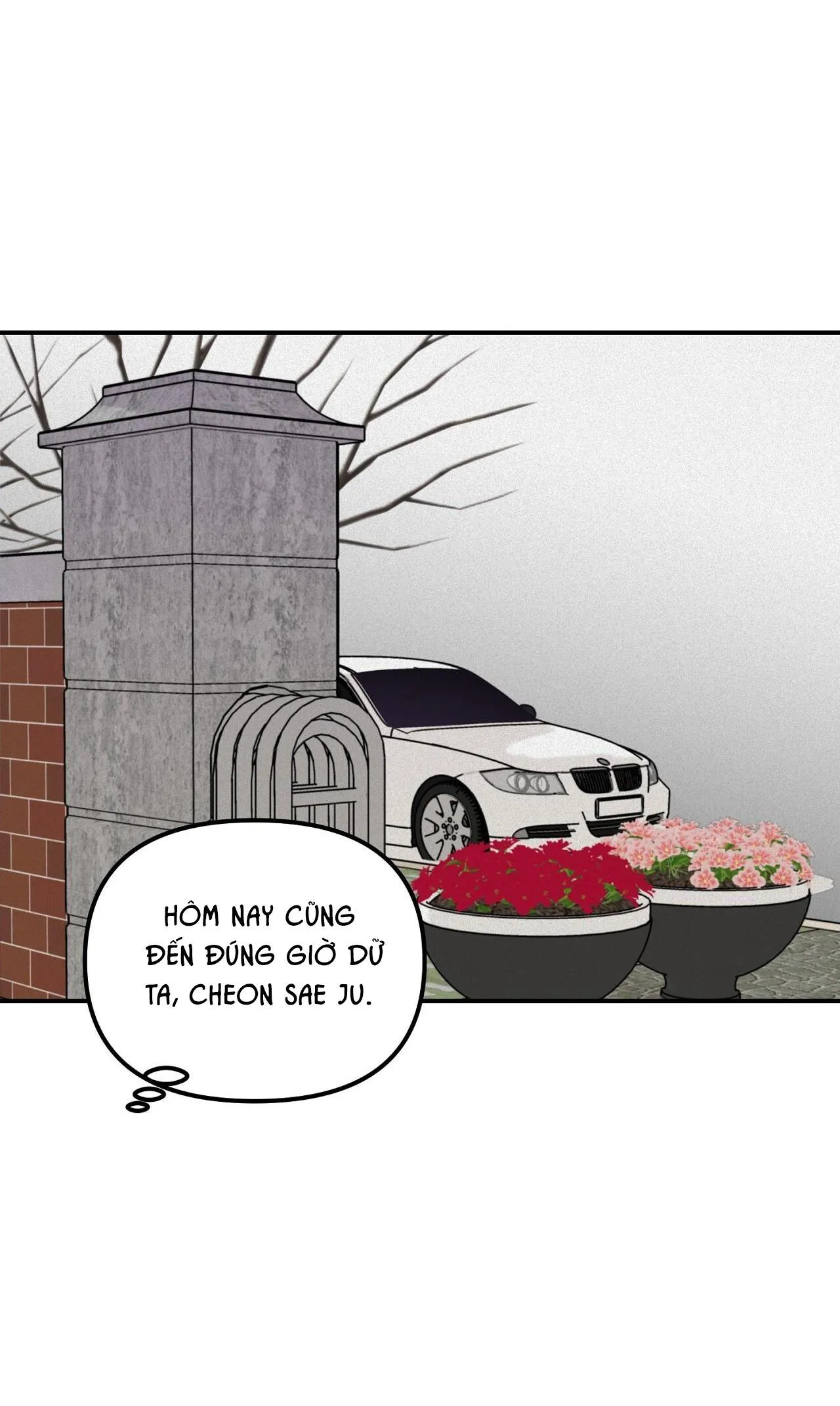 PROJECTION Chapter 22 Trang 18