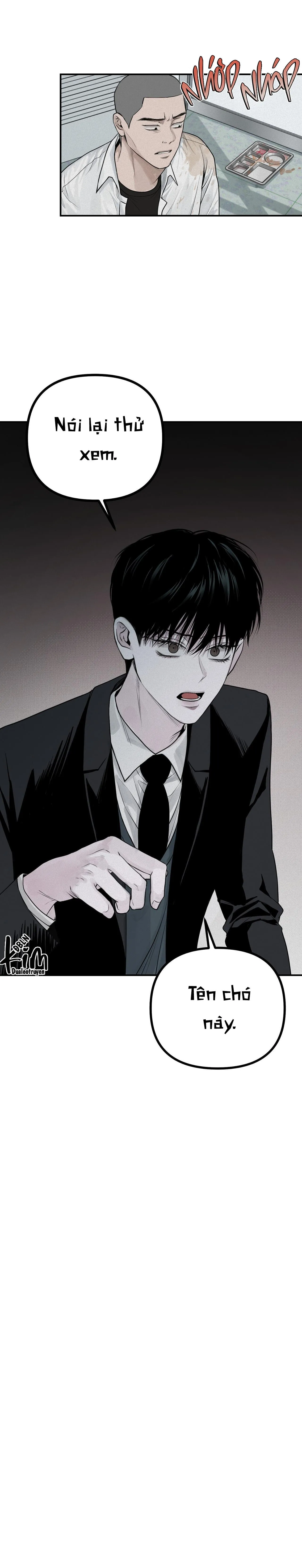 PROJECTION Chapter 23 Trang 51