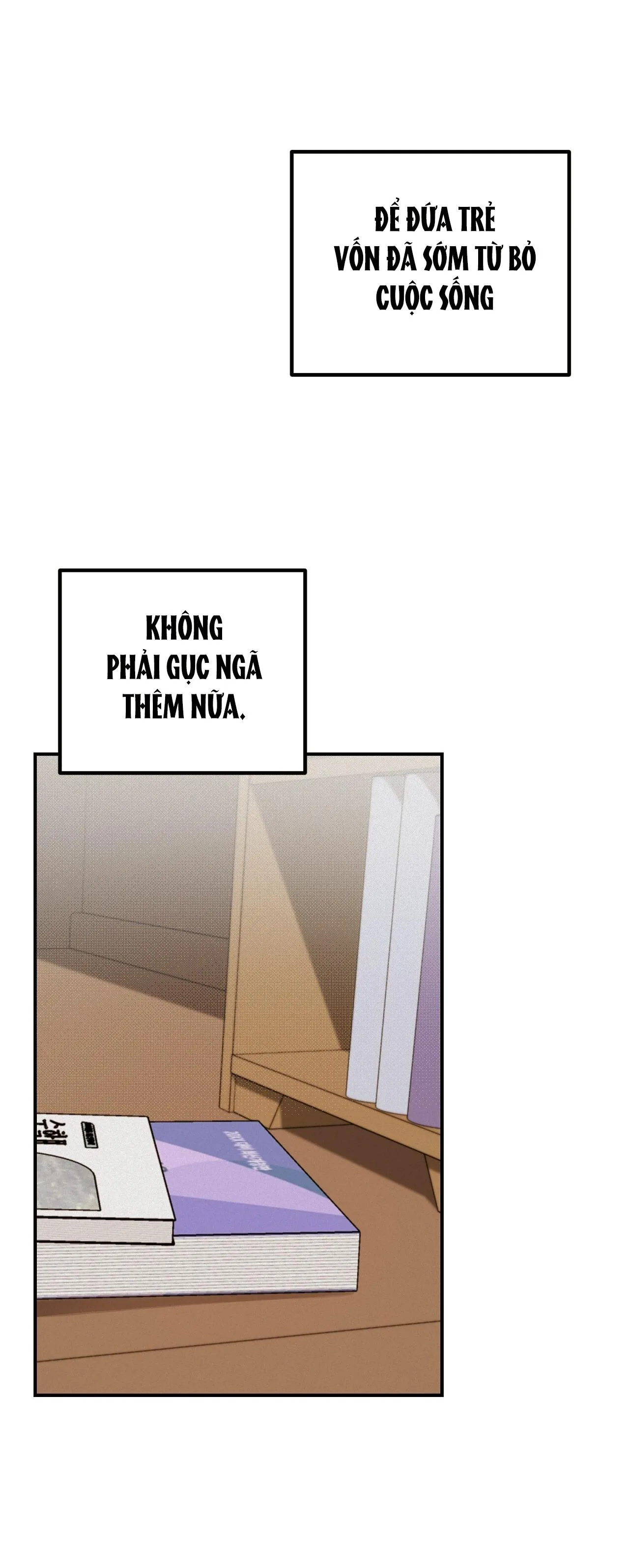 PROJECTION Chapter 27 Trang 16