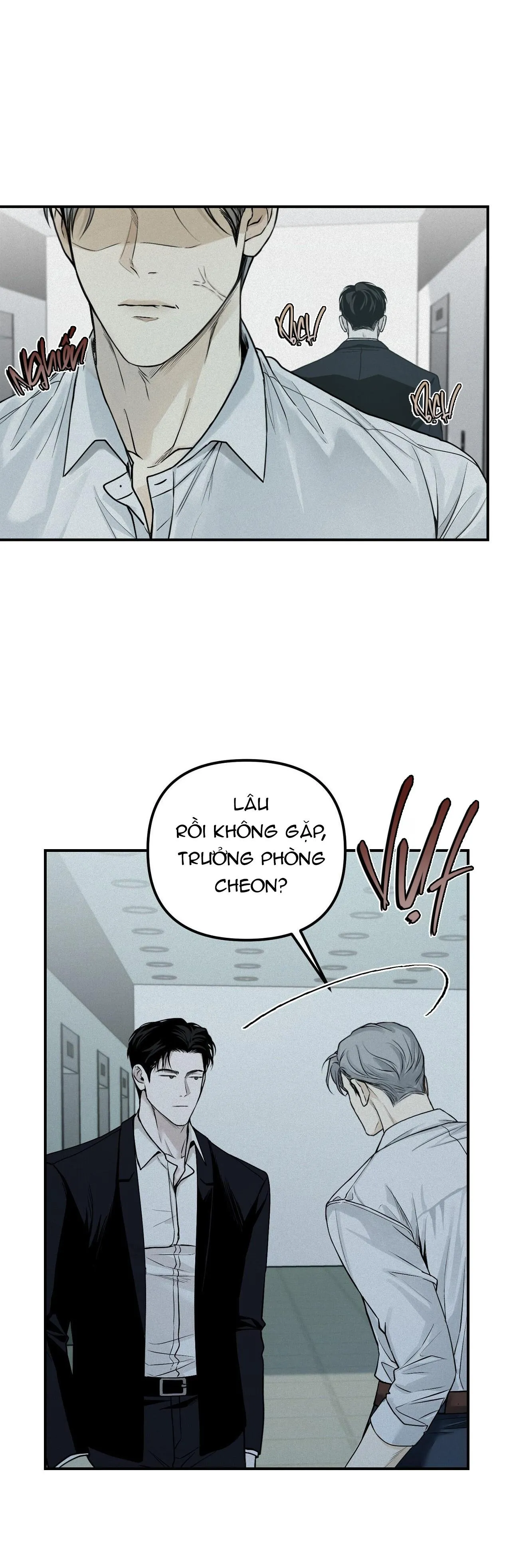 PROJECTION Chapter 28 Trang 11