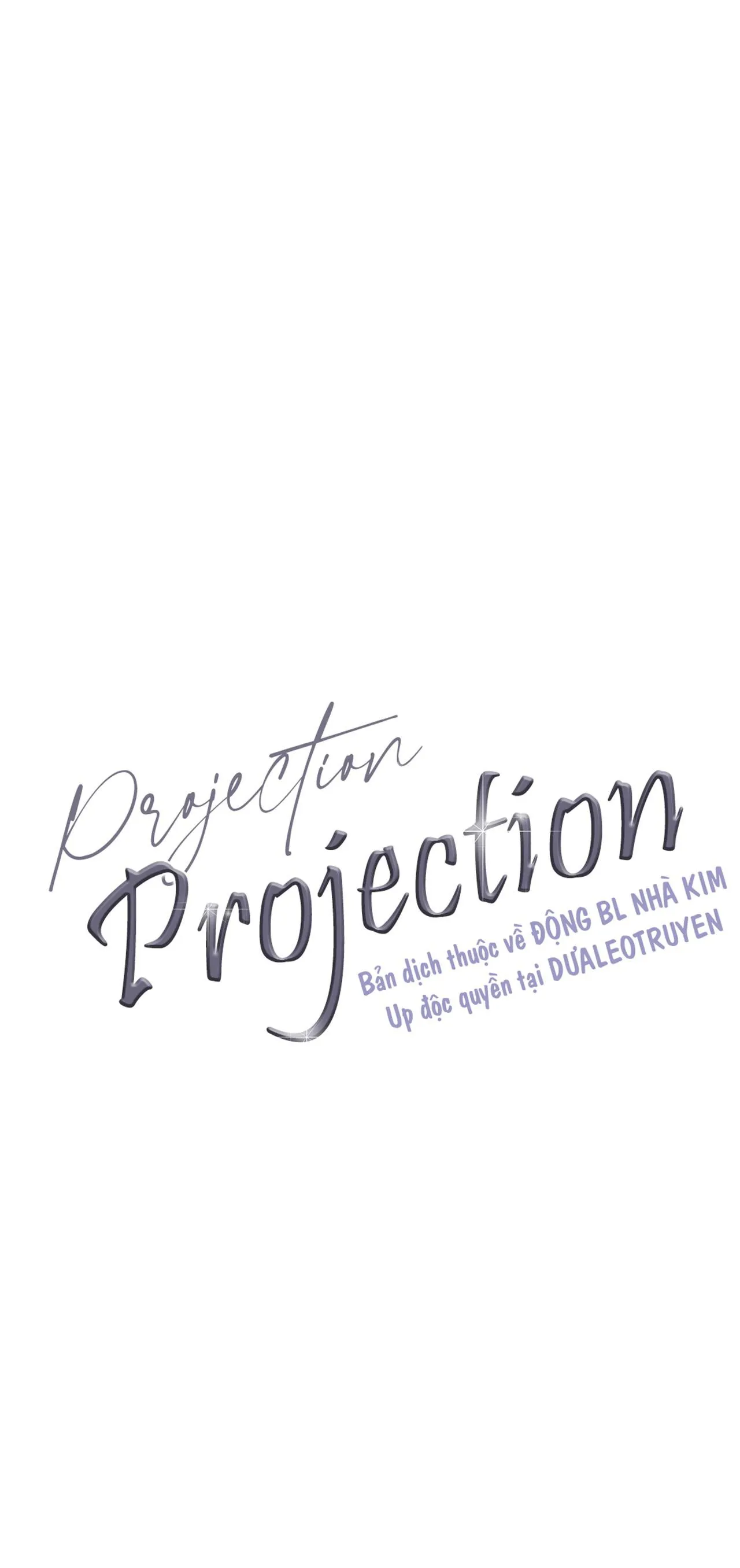 PROJECTION Chapter 28 Trang 19