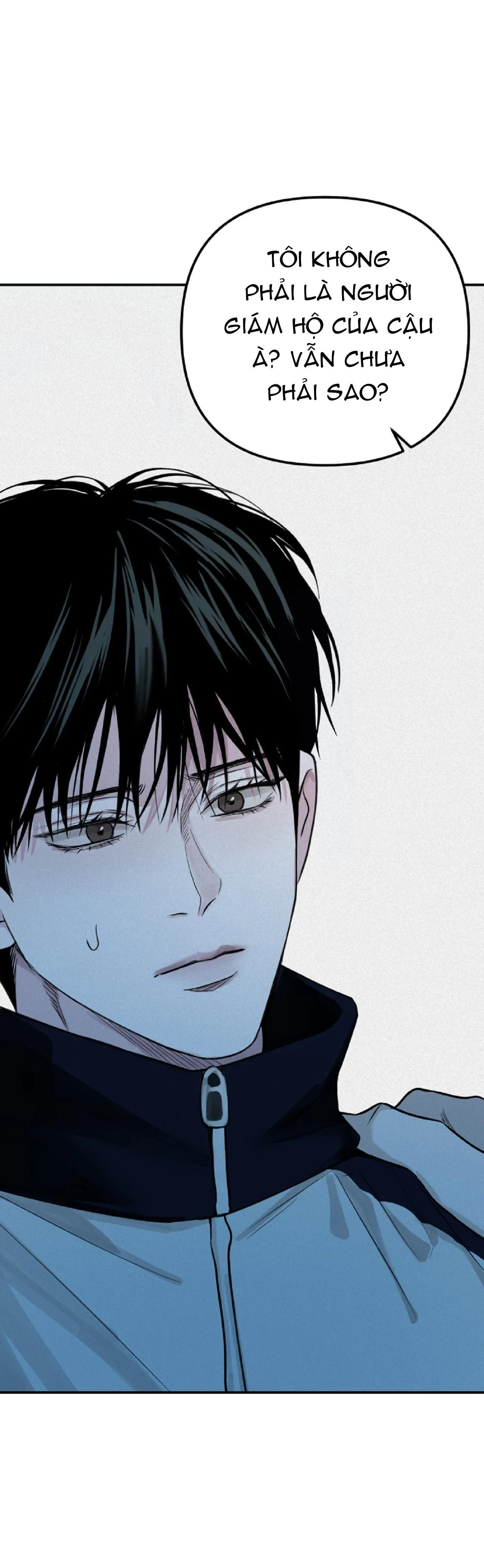 PROJECTION Chapter 29 Trang 37