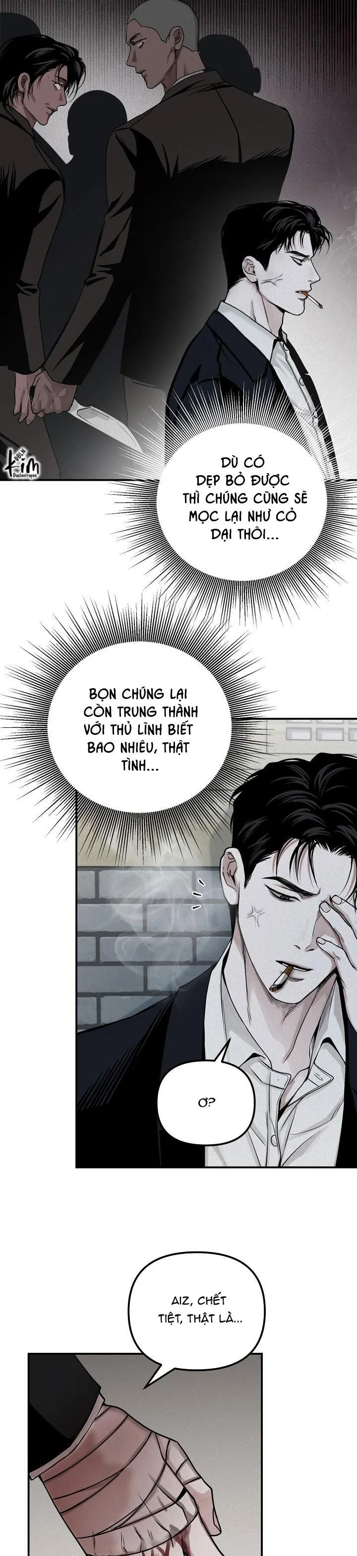 PROJECTION Chapter 31 Trang 14