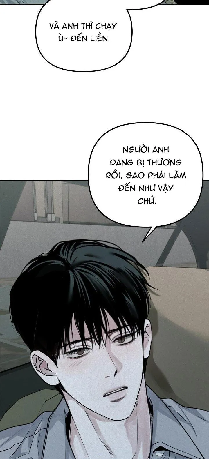 PROJECTION Chapter 31 Trang 31