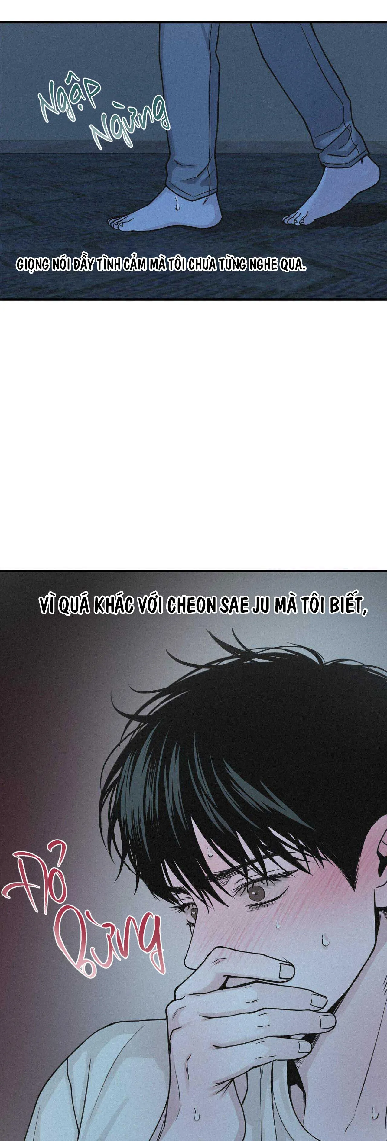 PROJECTION Chapter 37 Trang 14