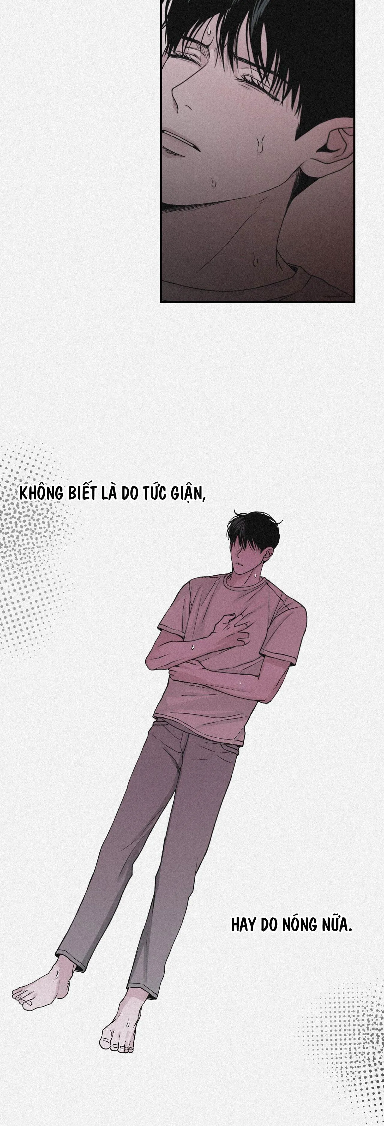 PROJECTION Chapter 37 Trang 17