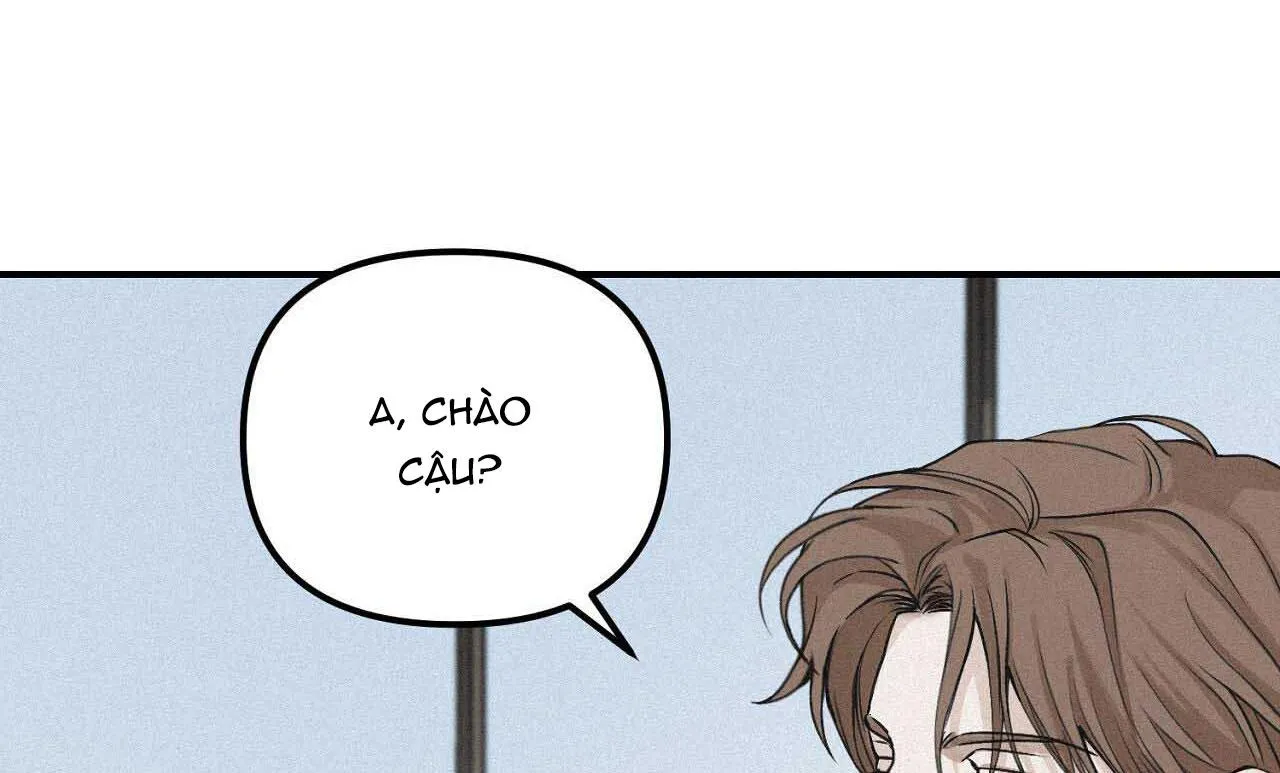 PROJECTION Chapter 37 Trang 32