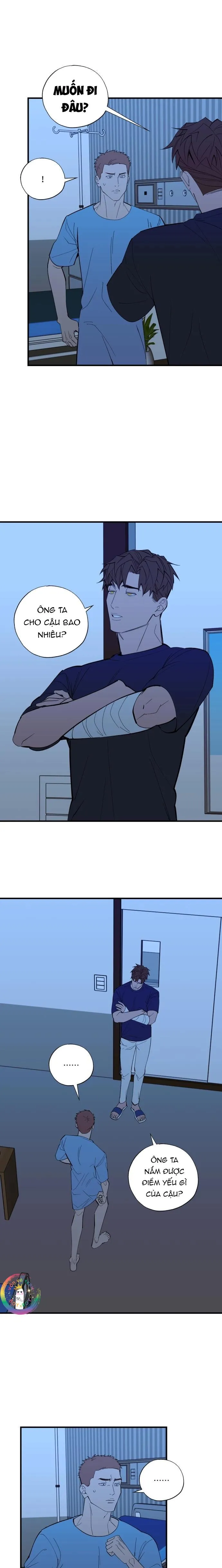 PRY (Trộm Nhìn) -END Chapter 42 Trang 8